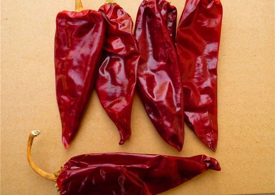 Ξηρά κόκκινα πιπέρια 2CM τσίλι της κκπ αφυδατωμένο πιπέρι φαναριών ζωή του προϊόντος στο ράφι 2 ετών