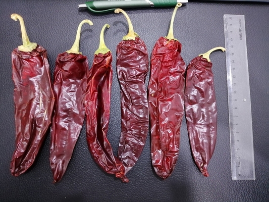 Ξηρό Guajillo Chiles μεγάλο μέγεθος τσίλι Καλιφόρνιας που επιλέγεται με το χέρι το φυσικό κόκκινο