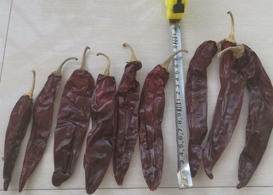 Νέα συγκομιδή 220 ASTA πάπρικας γλυκά πιπέρια τσίλι Guajillo κόκκινων πιπεριών πικάντικα 12-18 εκατ.