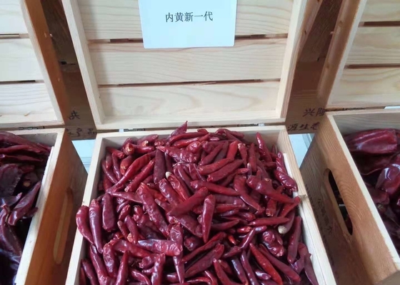 Άκαυλα κινεζικά πιπέρια υψηλό SHU τσίλι Chaotian Szechuan ξηρά κόκκινα