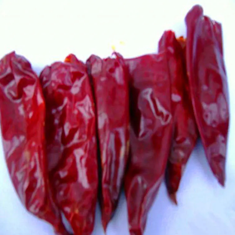 7-15 εκατοστά μήκος Yidu Chili Σκληρή πικάντικη γεύση τσίλι για στεγνή και δροσερή αποθήκευση