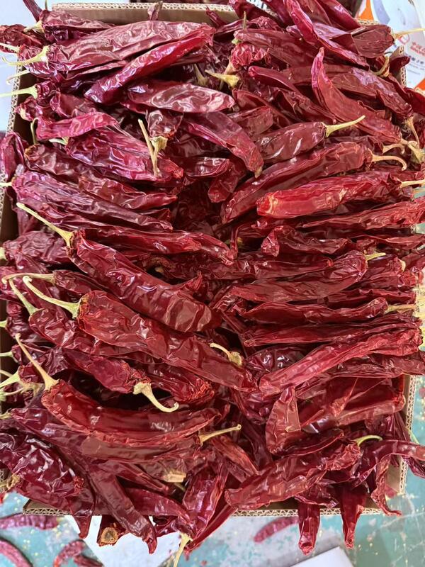 Natural Red No Additive Paprika Chilli Dried Red Chilli Peppers 10kg/CTN for Food Cooking