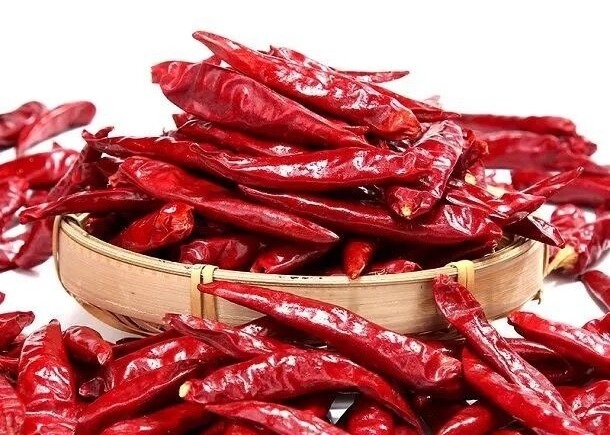 Ξηρά κόκκινα πιπέρια τσίλι Tsin Tien για το ύφος Szechuan που μαγειρεύουν το συστατικό Kung Pao